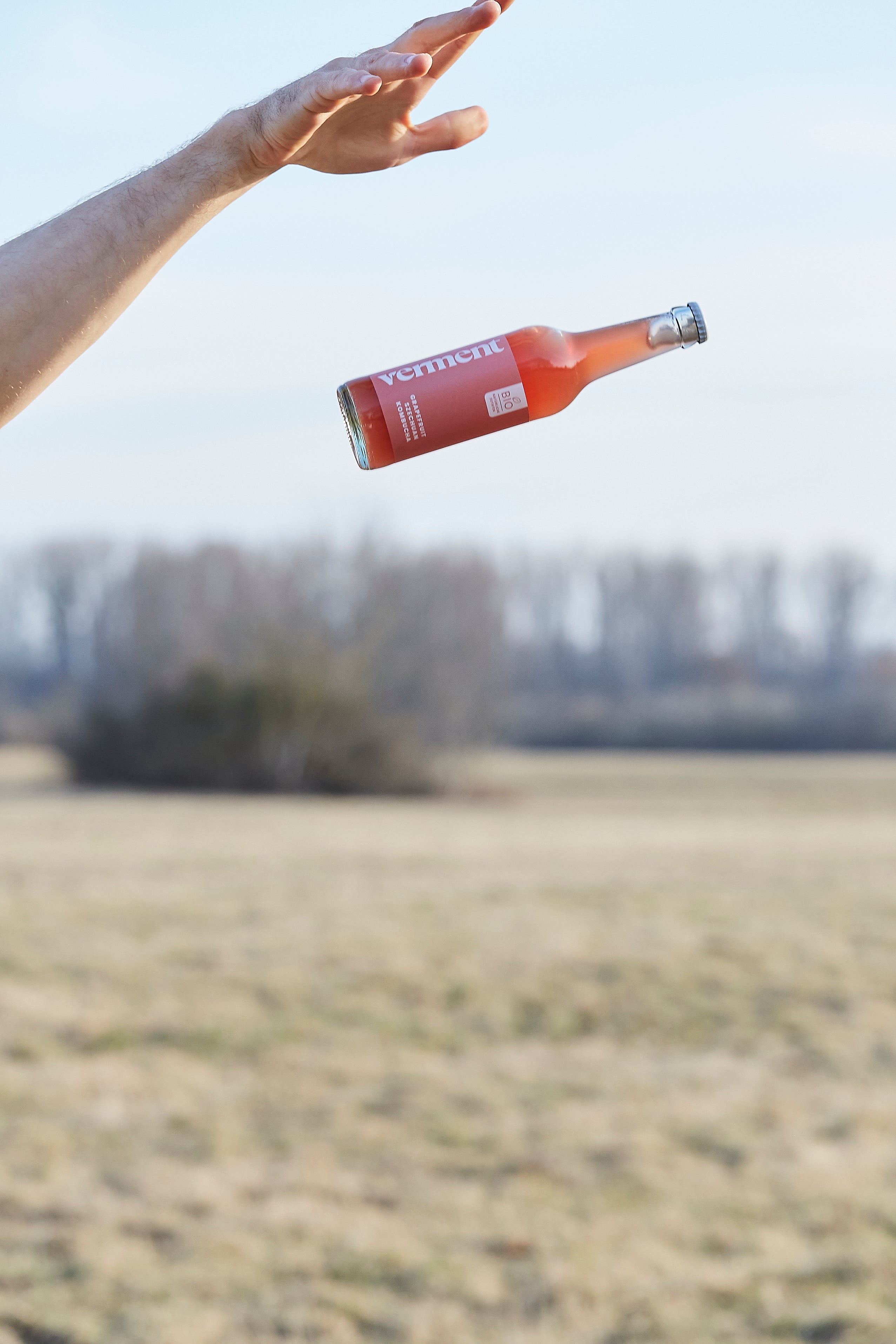 Myths about Kombucha